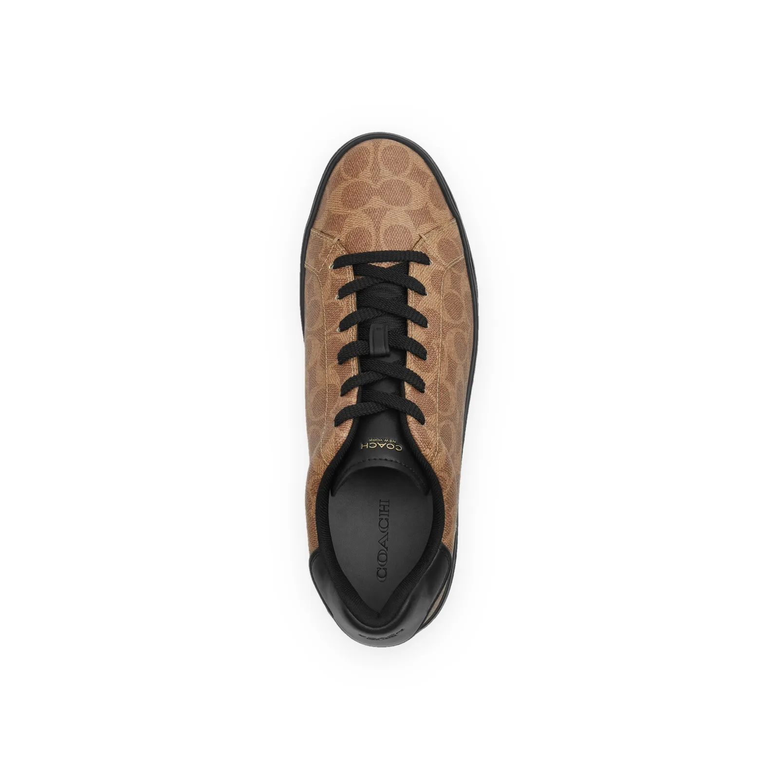 High Line Sneaker In Signature Canvas Khaki/Black, Khaki/Black, foto 3