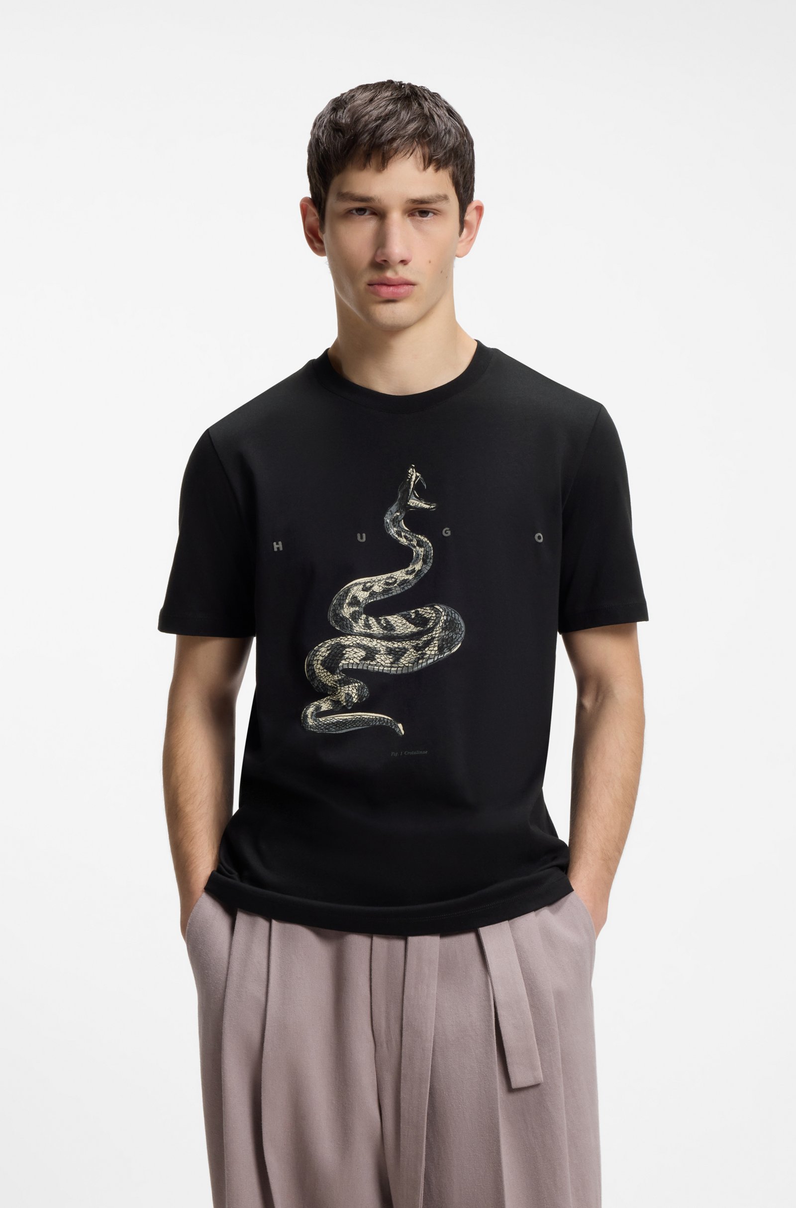 Serpiente